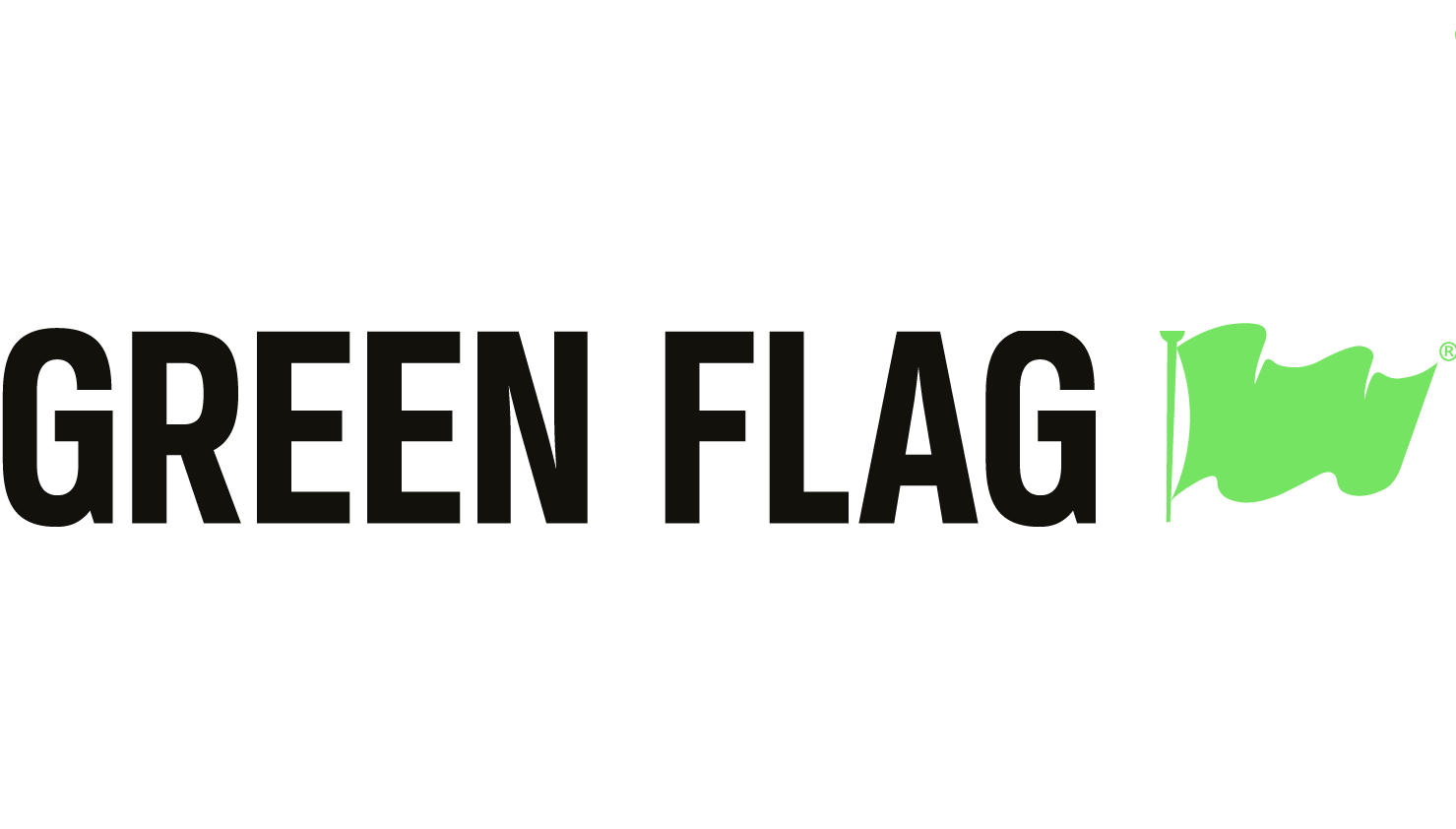 green flag logo